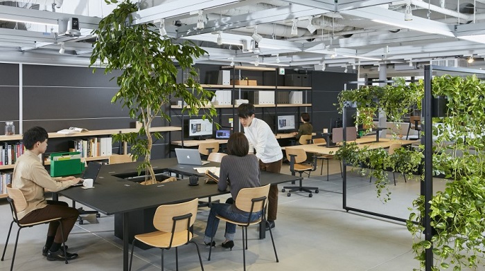 オフィスでグリーンの導入が増えています