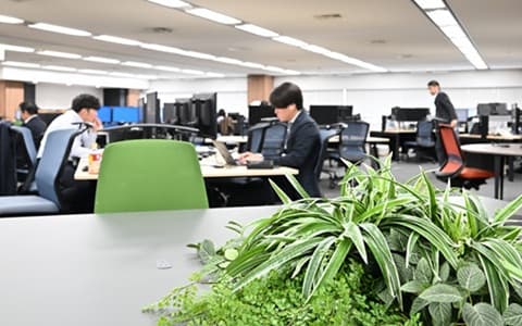 光量が上がり彩も更に豊かに